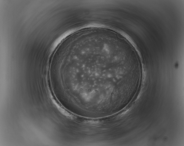 X0000116581245200912101533