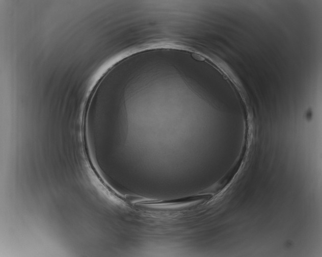 X0000116581246200912101533