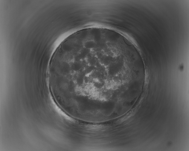 X0000116581247200912101533