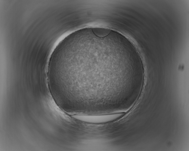 X0000116581248200912101533