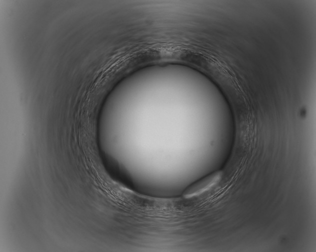 X0000116581249200912101532