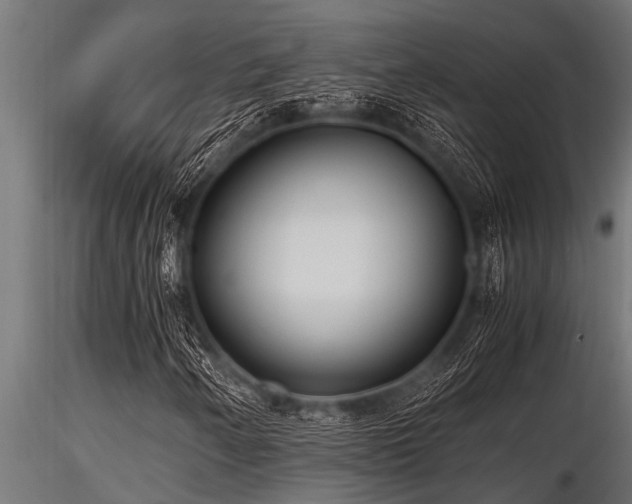 X0000116581250200912101532