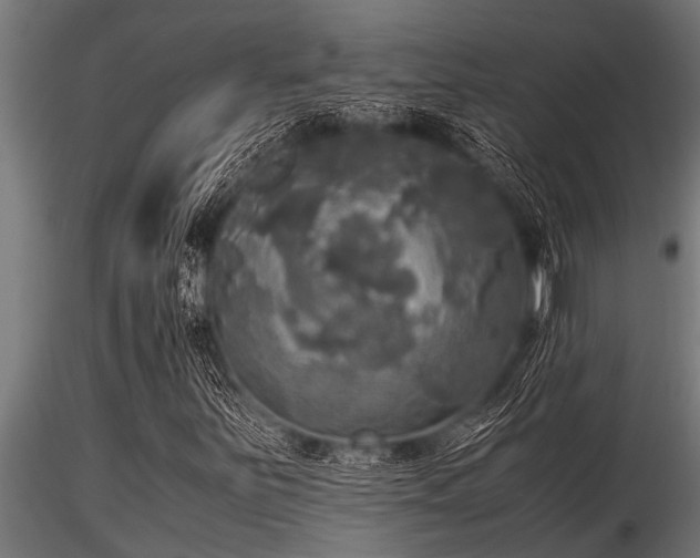 X0000116581251200912101532