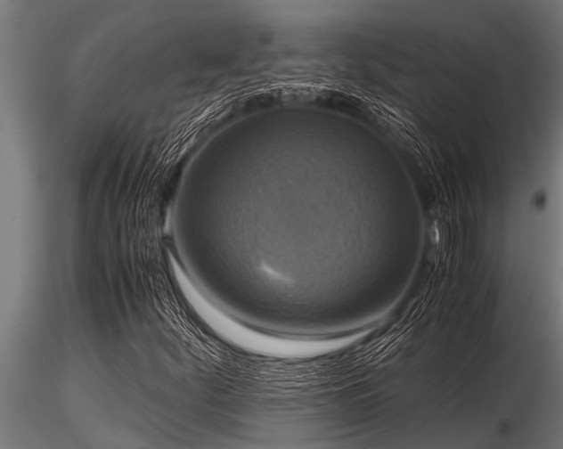 X0000116581252200912101532