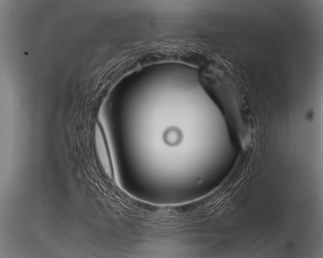 X0000116581253200912101532