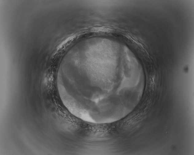 X0000116581254200912101532