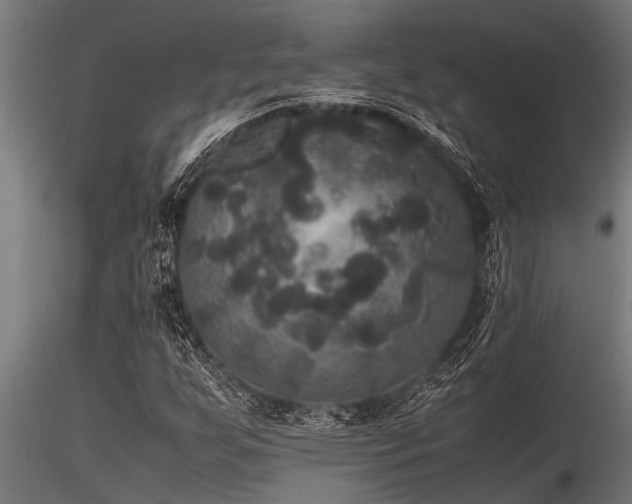 X0000116581255200912101532