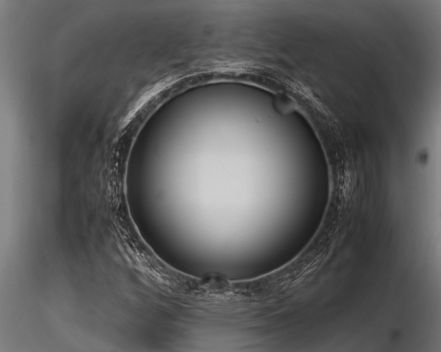 X0000116581256200912101532