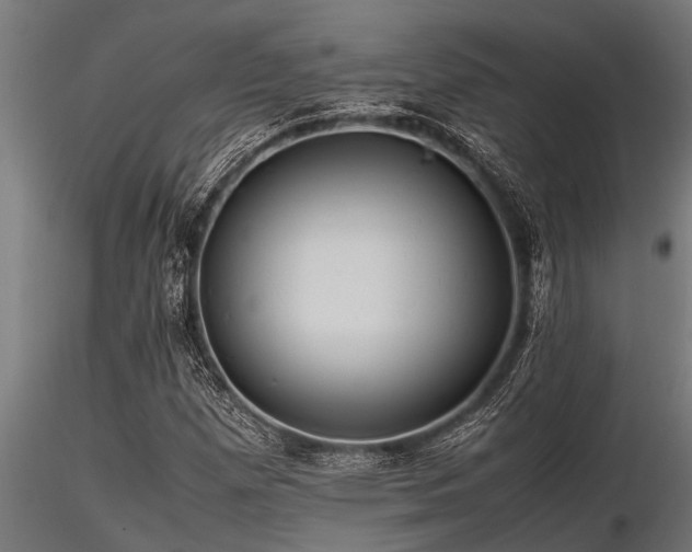 X0000116581257200912101532