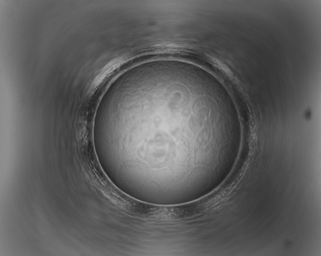 X0000116581259200912101532