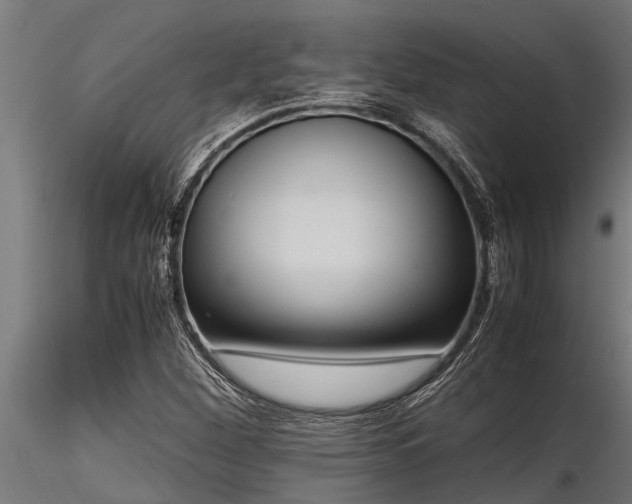 X0000116581260200912101532