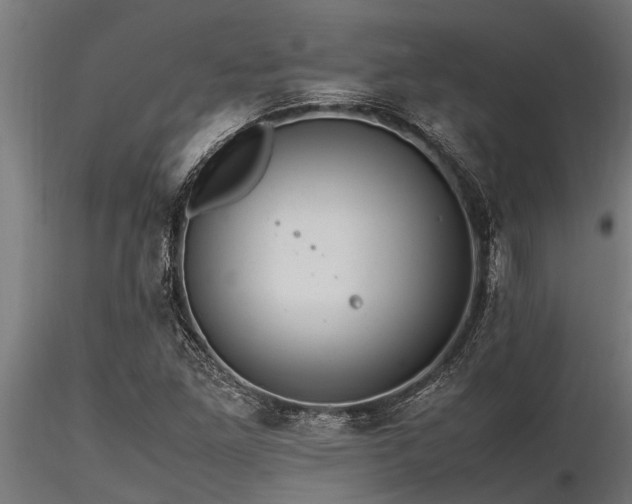 X0000116581261200912101532