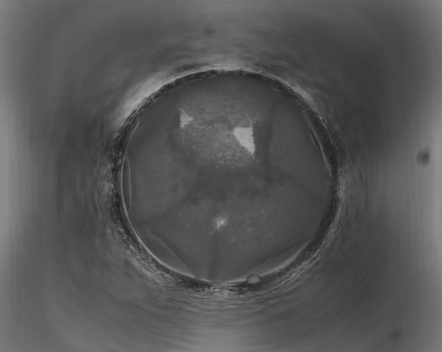 X0000116581263200912101532