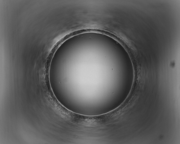 X0000116581264200912101532