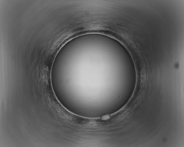 X0000116581265200912101532
