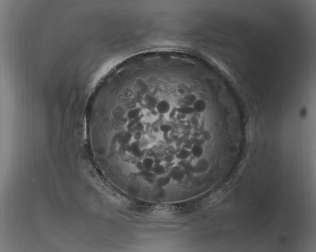 X0000116581267200912101532