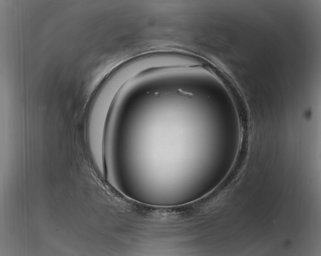 X0000116581269200912101532