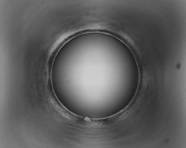 X0000116581270200912101532