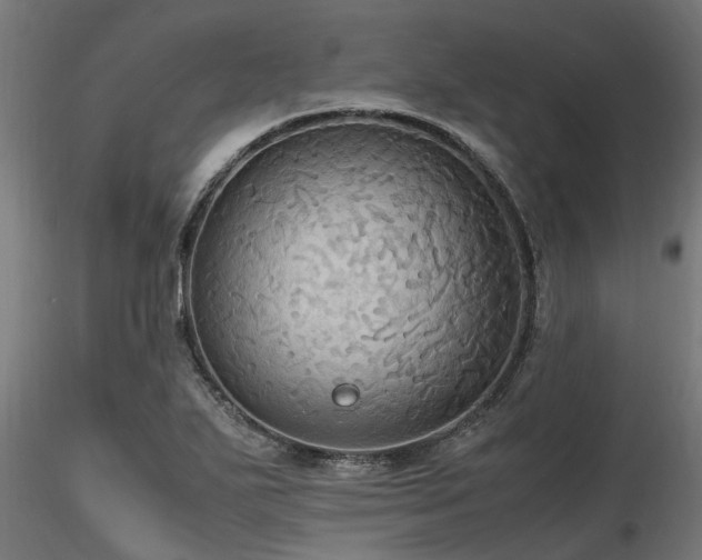 X0000116581271200912101532