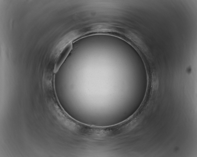 X0000116581273200912101532