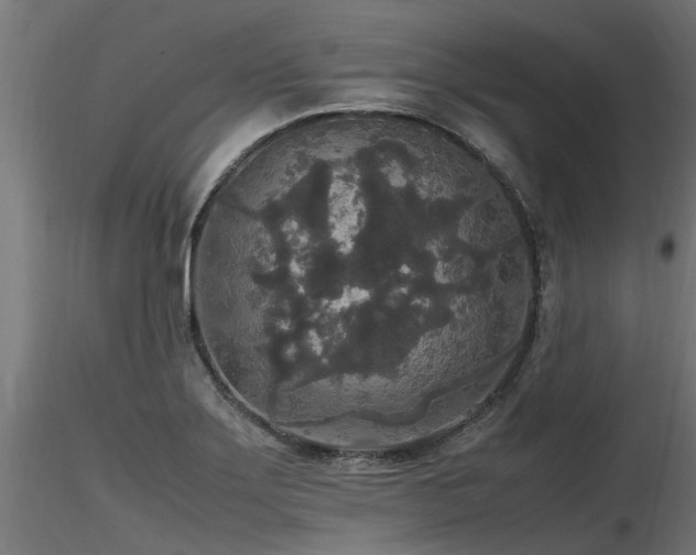 X0000116581275200912101532