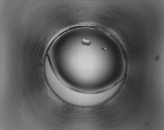 X0000116581276200912101532