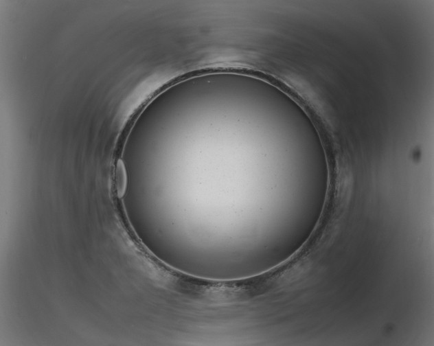 X0000116581277200912101532