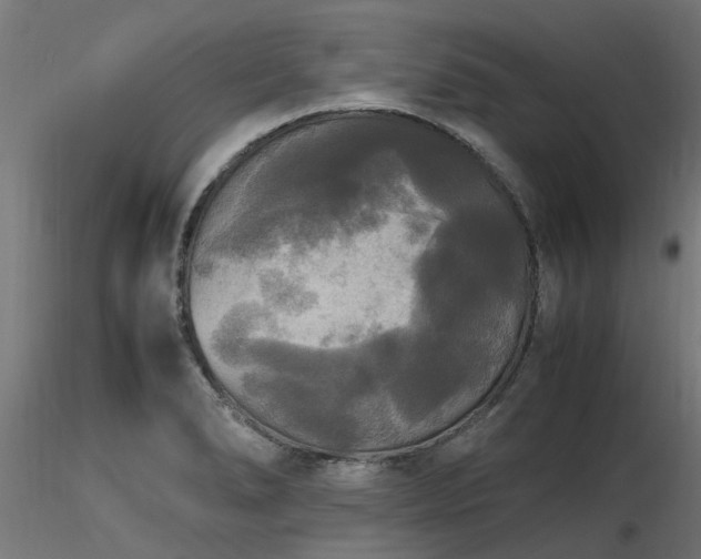 X0000116581278200912101532