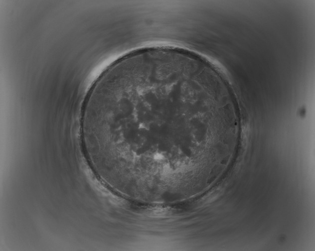 X0000116581279200912101532