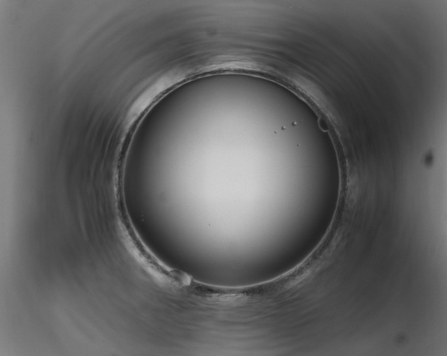 X0000116581282200912101532