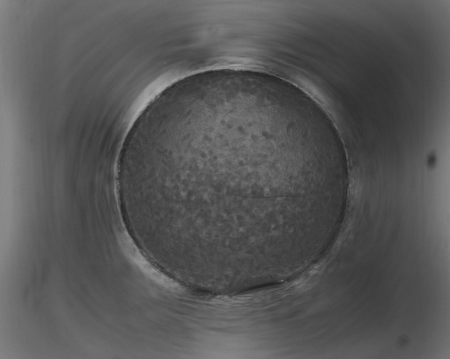 X0000116581283200912101532