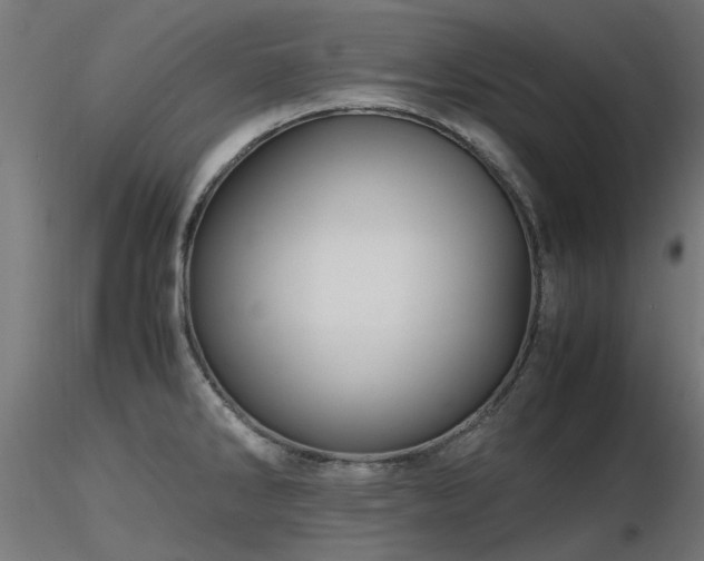 X0000116581286200912101532