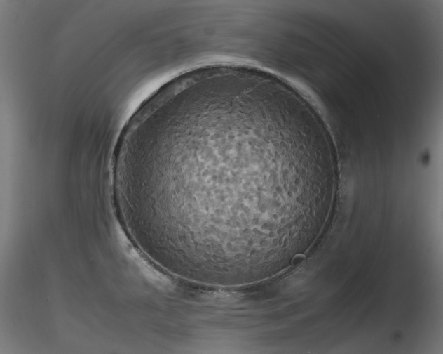 X0000116581287200912101532