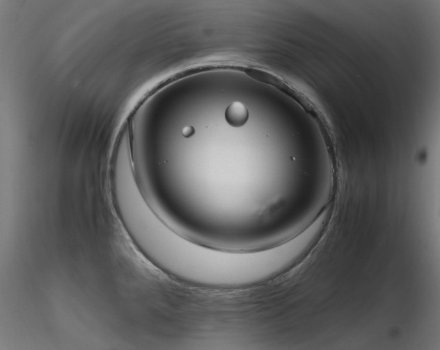 X0000116581288200912101532