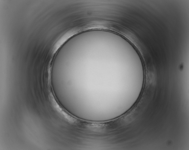 X0000116581290200912101532