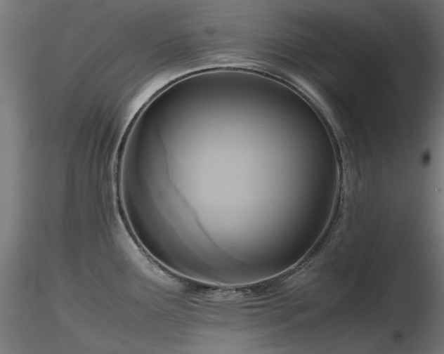 X0000116581291200912101532