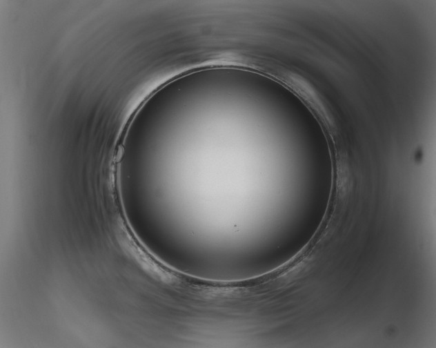 X0000116581292200912101532