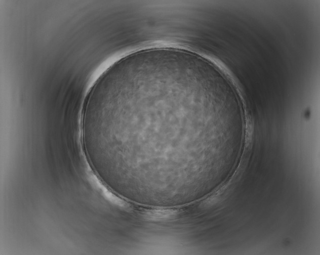 X0000116581294200912101532