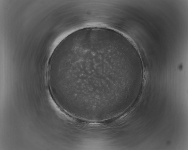 X0000116581295200912101532