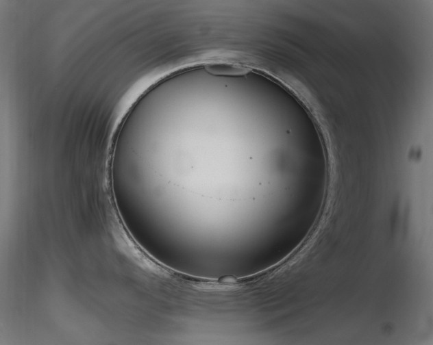 X0000116581296200912101532