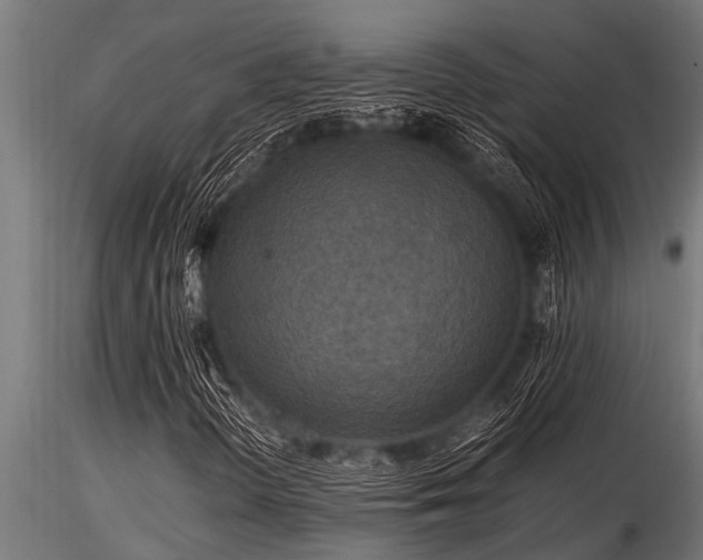 X0000116581298200912101531