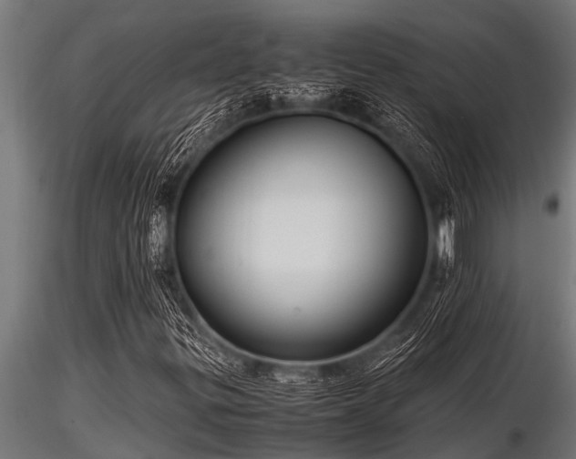 X0000116581299200912101531