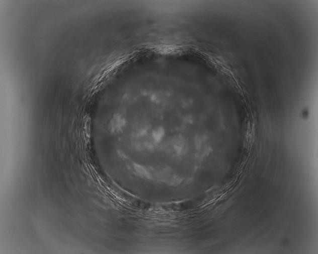 X0000116581301200912101531