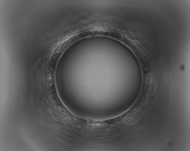 X0000116581303200912101531