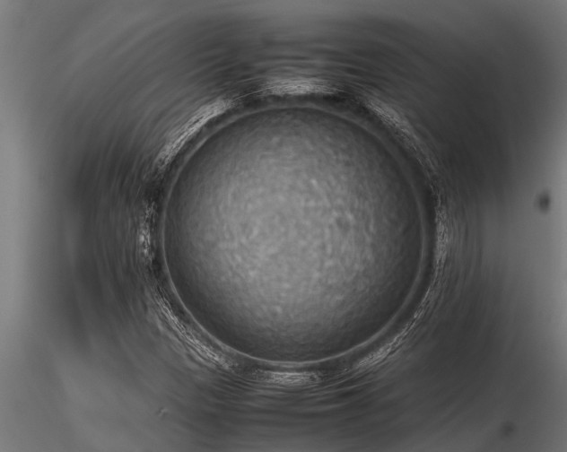 X0000116581305200912101531