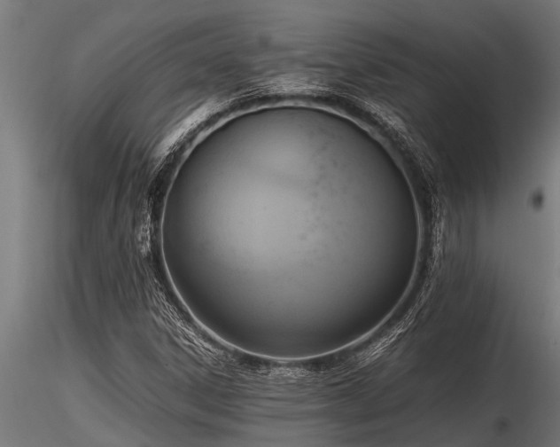 X0000116581306200912101531