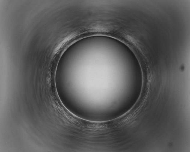 X0000116581307200912101531