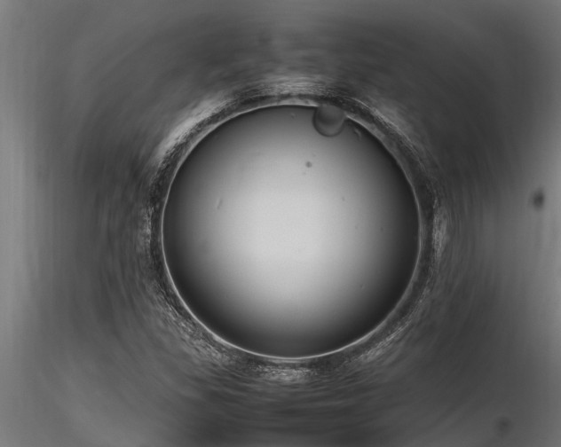 X0000116581309200912101531