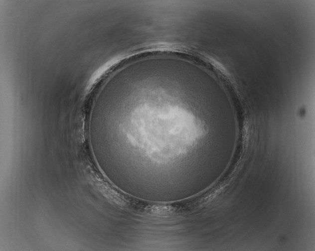 X0000116581310200912101531