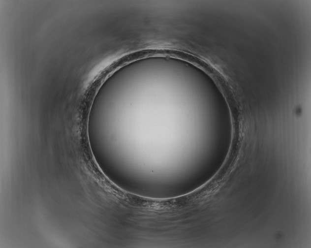 X0000116581311200912101531